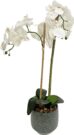 PL15d-Orchid in faux marble pot