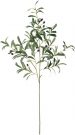 PLS03d-Olive Stem w/olive buds, Single