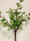 PLS20c-Eucalyptus Bunch w/white florets