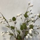 PLS17-Stems, Pr. of White Apple Blossoms
