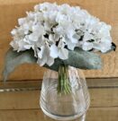 PLS02-Stems, Bunch of White Hydrangeas