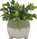 PL10c-Green Drip Pot, weeping greens