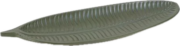 Display Tray, Green Leaf-Acc744
