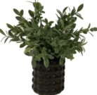 PL45-Weeping Greens, Black Bubble pot