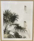 A109cc-Palm Courtyard, Behind Glass